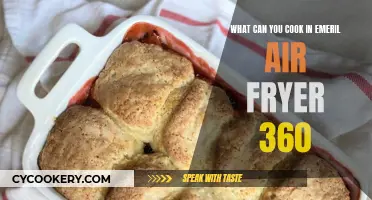 Air Fryer 360: Delicious Dishes for Every Occasion