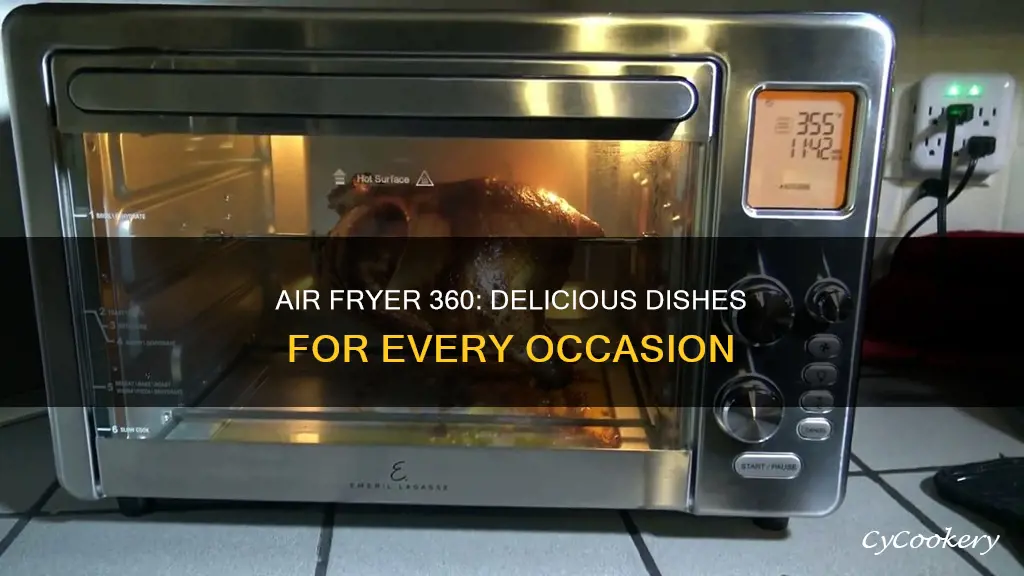 what can you cook in emeril air fryer 360