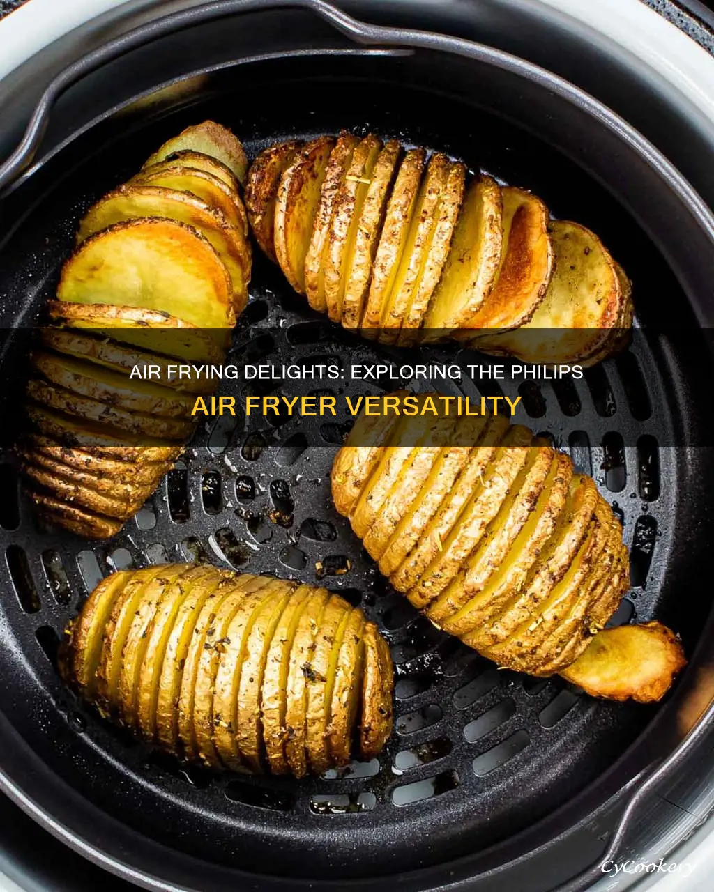 what can you cook in philips air fryer