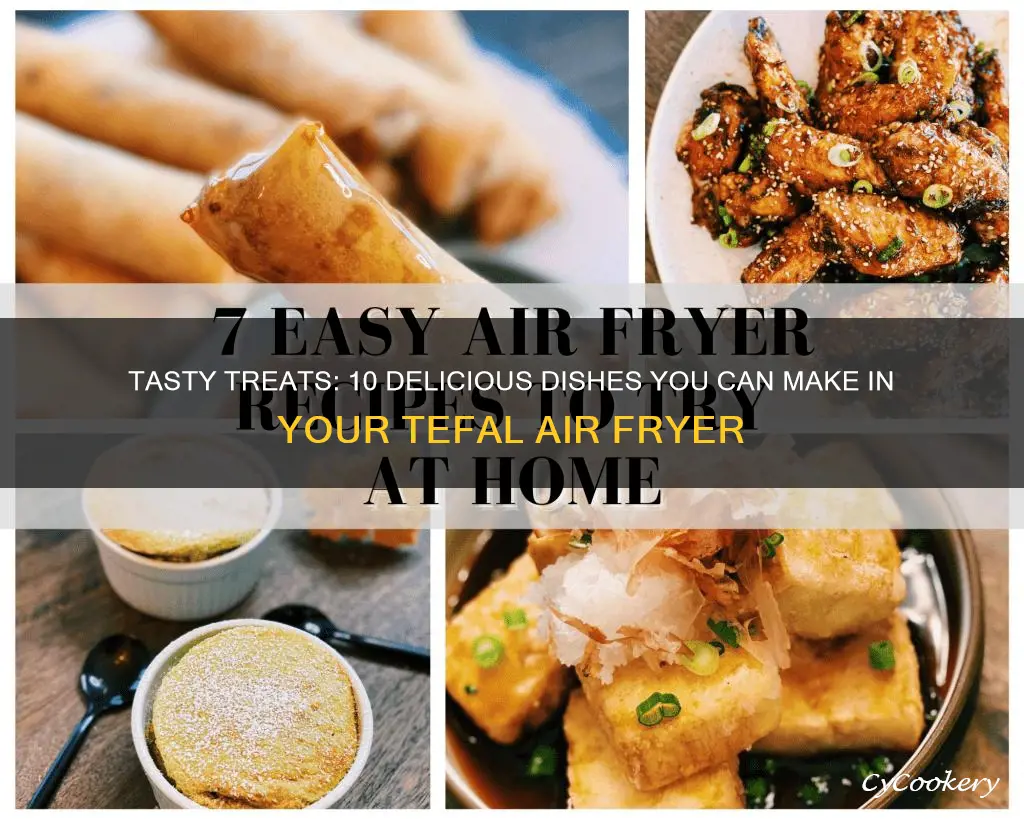 what can you cook in tefal air fryer