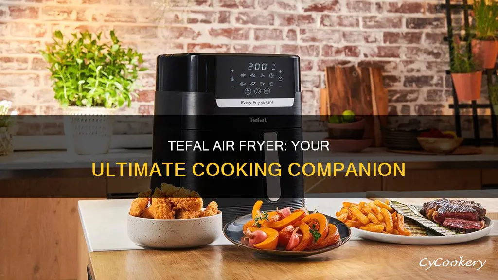 what can you cook in tefal air fryer