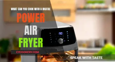 Digital Power Air Fryer: 10 Delicious Dishes You Can Cook