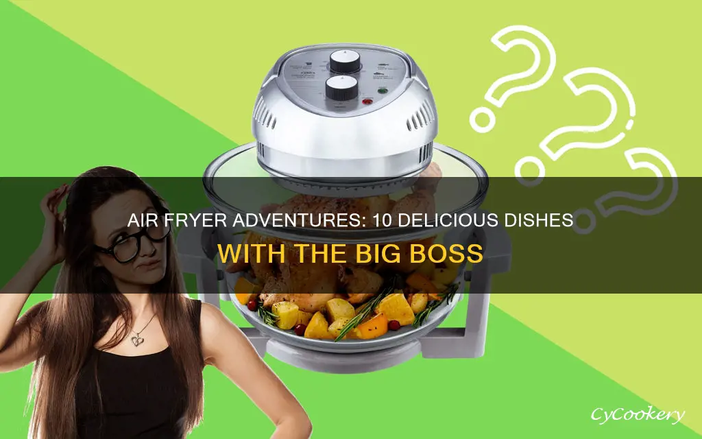 what can you cook with big boss air fryer