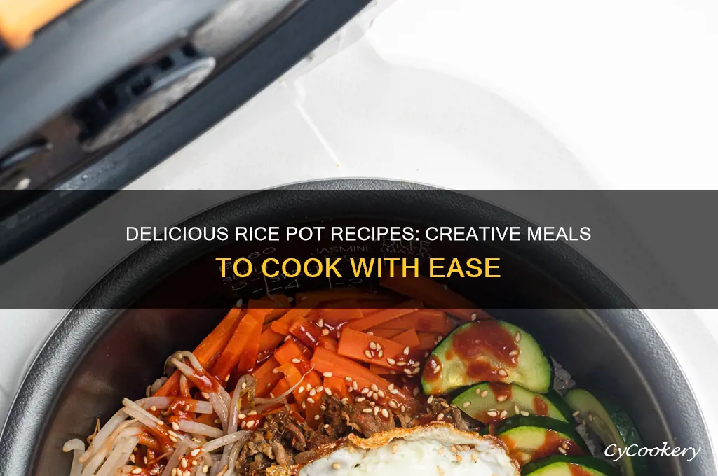 what can you cook with rice pot