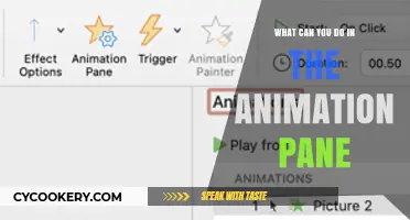 Explore Animation Pane Features and Functions