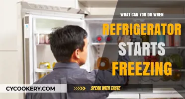 Refrigerator Freezing Food? Quick Fixes to Solve the Chilling Issue