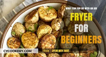 Air Fryer Basics: 5 Delicious, Easy-to-Make Recipes for Beginners