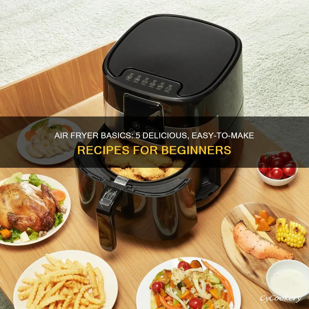 what can you do with an air fryer for beginners