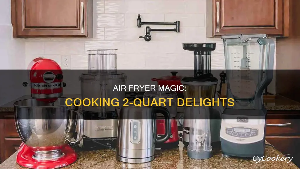 what can you fit in a 2 qt air fryer