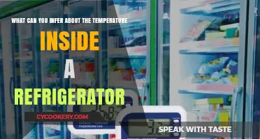Chilling Insights: Decoding the Temperature Inside Your Refrigerator