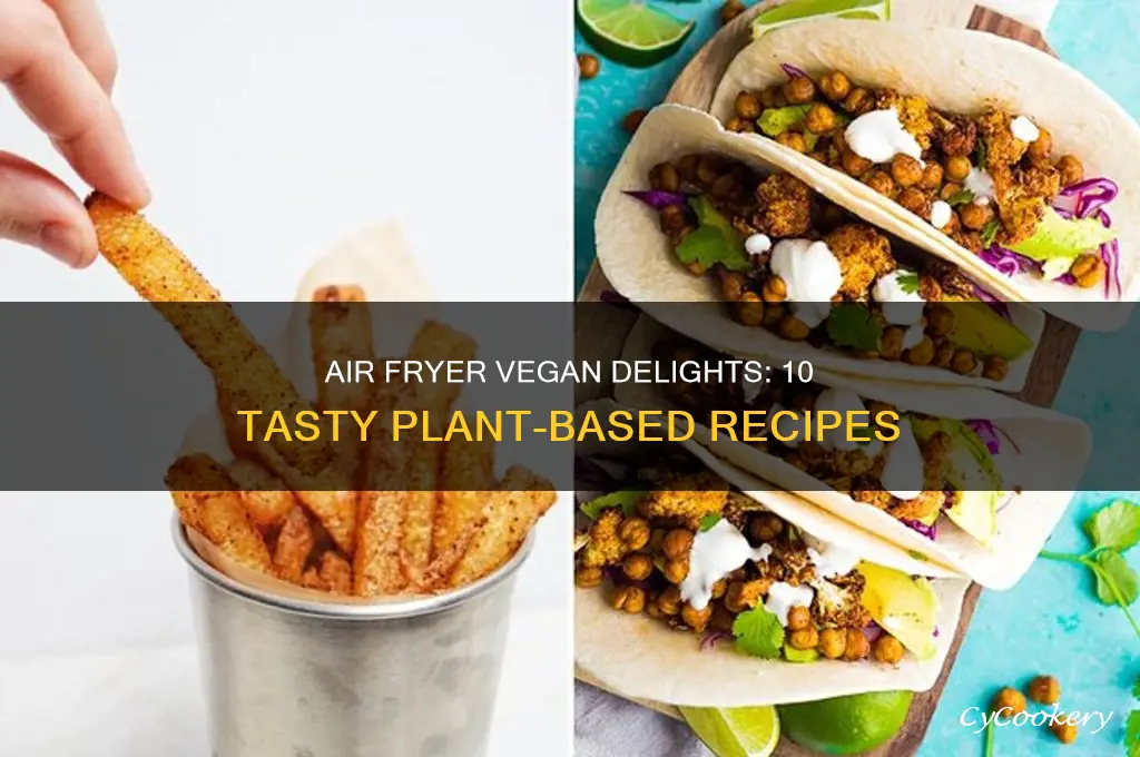 what can you make in an air fryer vegan