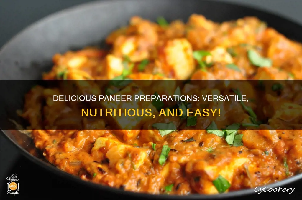 what can you make out from paneer