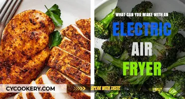 Electric Air Fryer: 10 Delicious Dishes You Can Make at Home