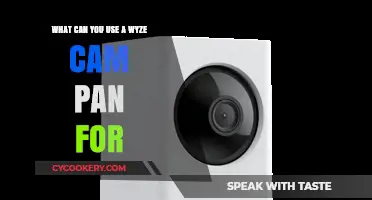 Creative Ways to Use Your Wyze Cam Pan