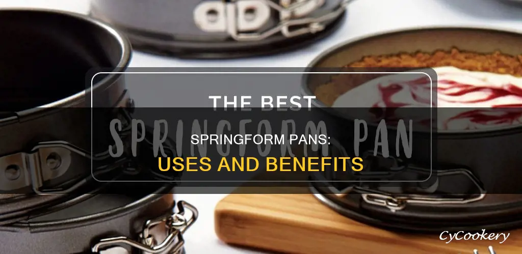 what can you use spring form pans for