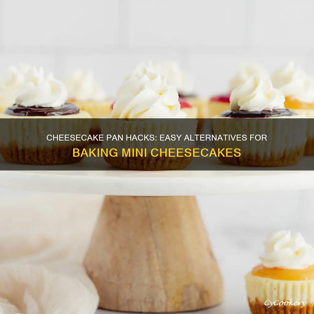 what can you use to substitute mini cheesecake pans