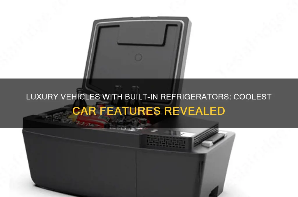 what cars come with built in refrigerator
