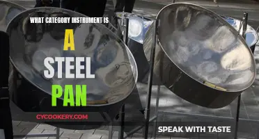 Steel Pan: A Unique Percussion Instrument