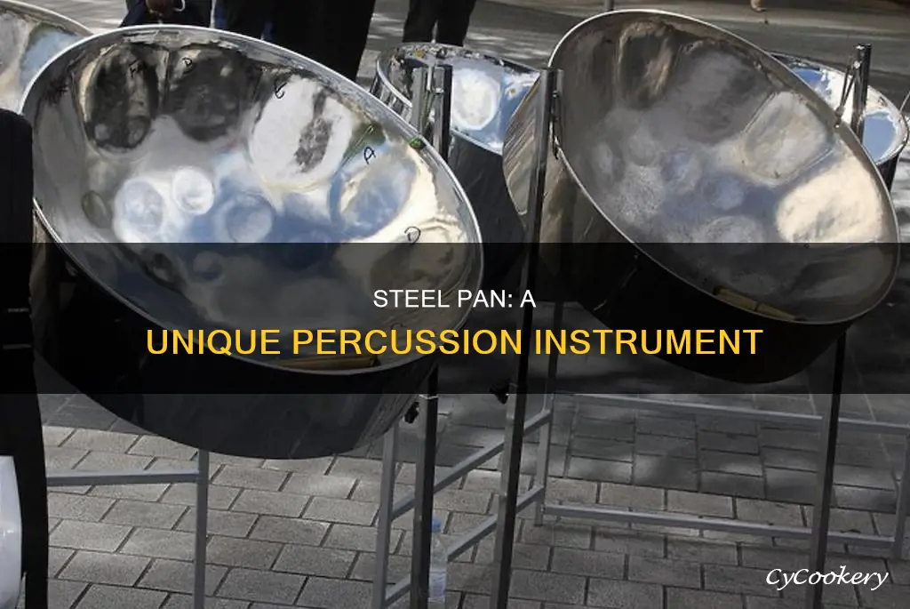 what category instrument is a steel pan