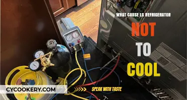 Why Your LG Refrigerator Isn't Cooling: Common Causes and Fixes