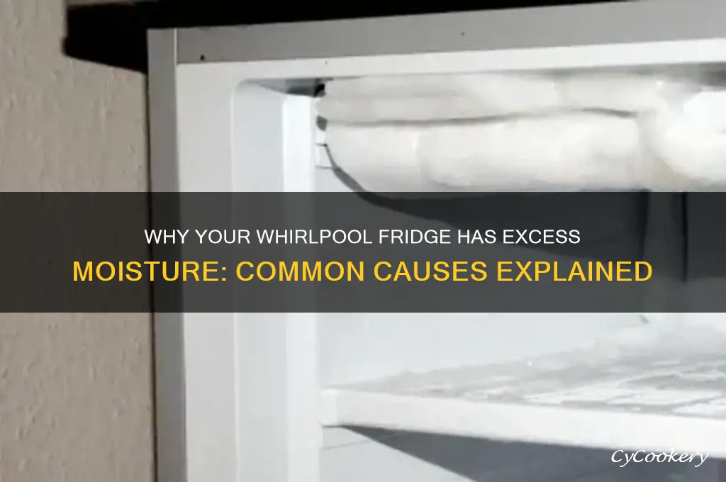 what cause moisture in a whirlpool refrigerator