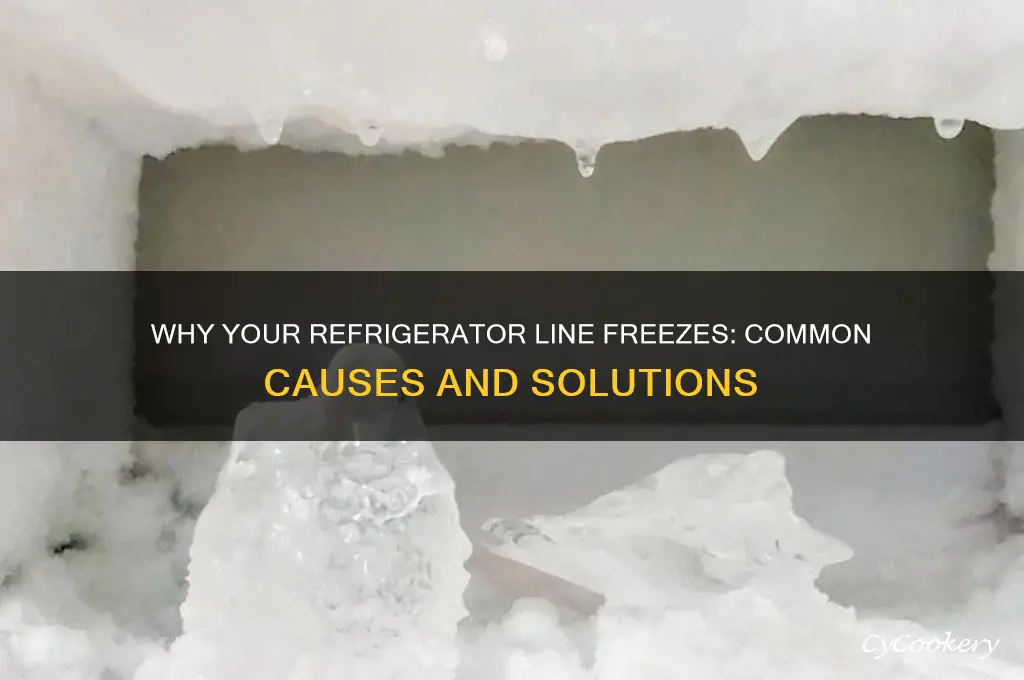 what causes a refrigerator line to freeze