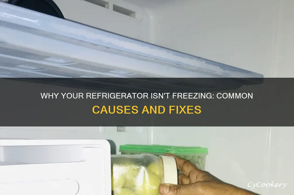 what causes a refrigerator not to freeze