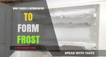 Why Frost Builds Up in Your Refrigerator: Common Causes Explained