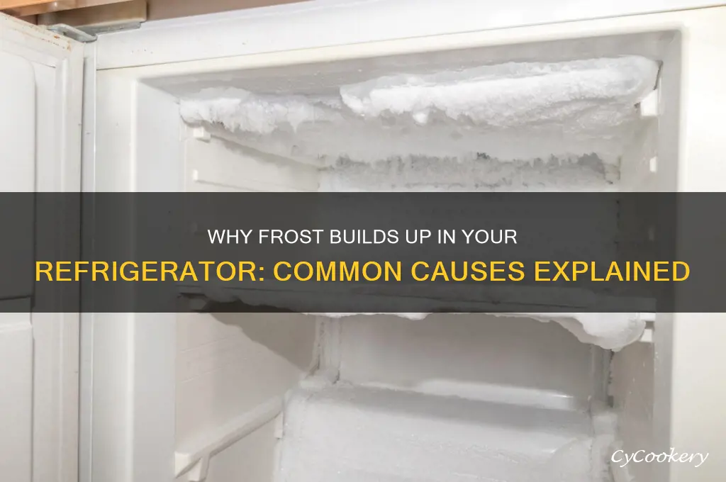 what causes a refrigerator to form frost