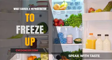 Why Your Fridge Freezes: Common Causes and Quick Fixes