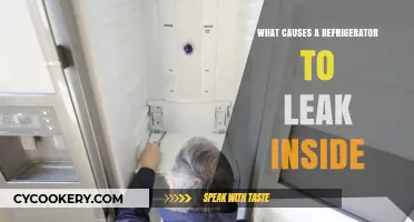 Why Is Your Fridge Leaking Inside? Common Causes Explained