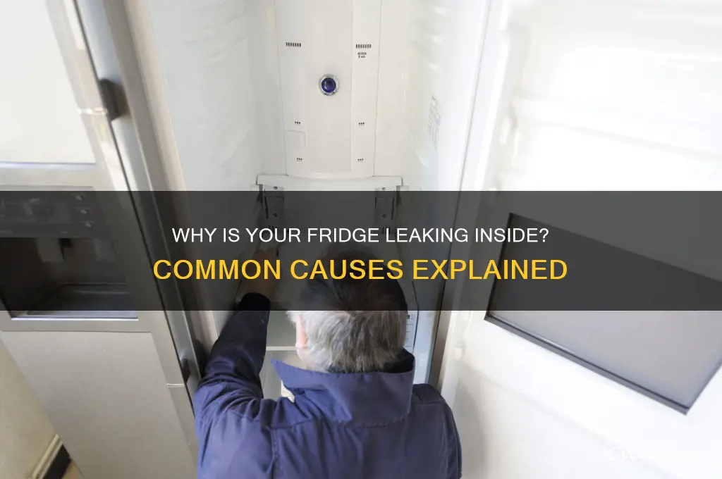 what causes a refrigerator to leak inside