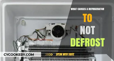 Why Your Fridge Isn't Defrosting: Common Causes and Fixes
