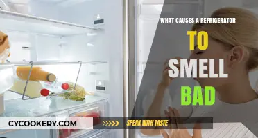 Why Your Fridge Stinks: Common Causes of Bad Refrigerator Odors