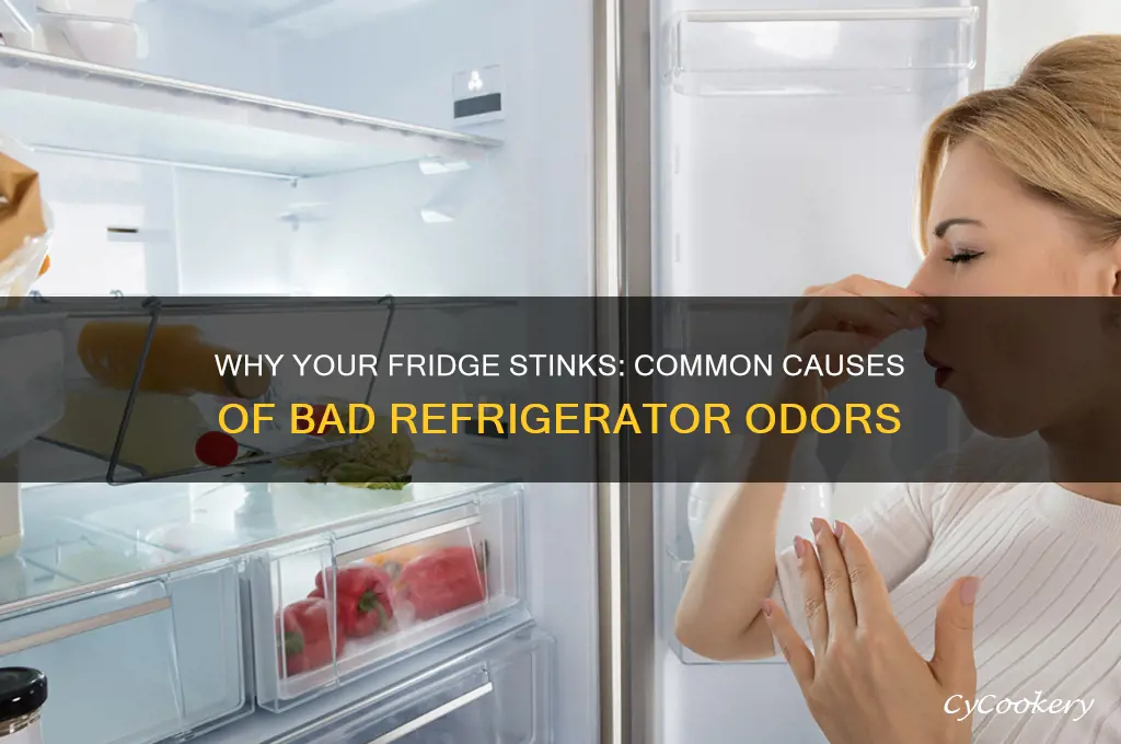 what causes a refrigerator to smell bad