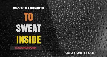 Why Your Fridge Sweats Inside: Causes and Quick Fixes