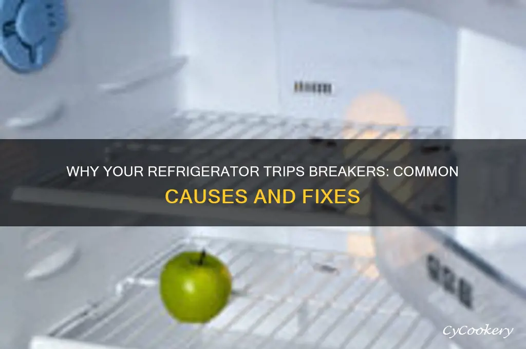 what causes a refrigerator to trip breakers