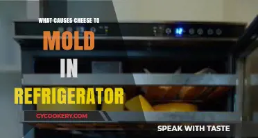 Why Cheese Molds in the Fridge: Causes and Prevention Tips