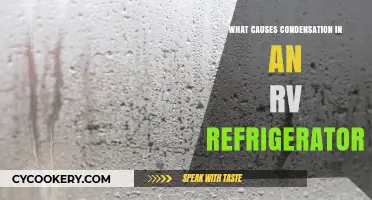 Understanding RV Fridge Condensation: Causes and Prevention Tips