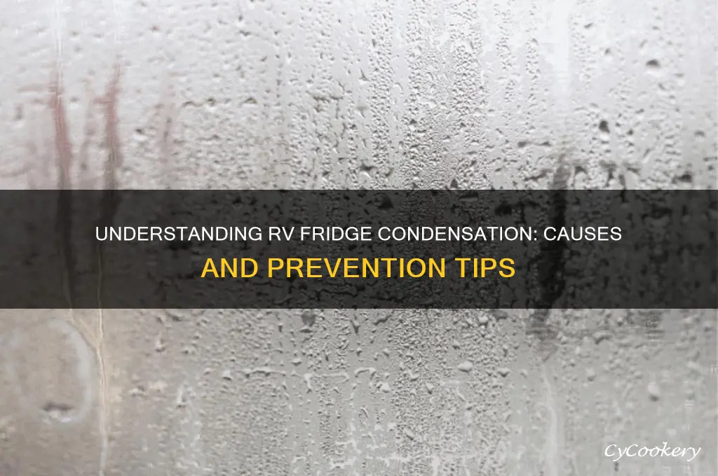 what causes condensation in an rv refrigerator