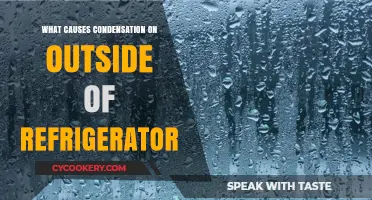 Why Does Condensation Form on the Exterior of Your Fridge?