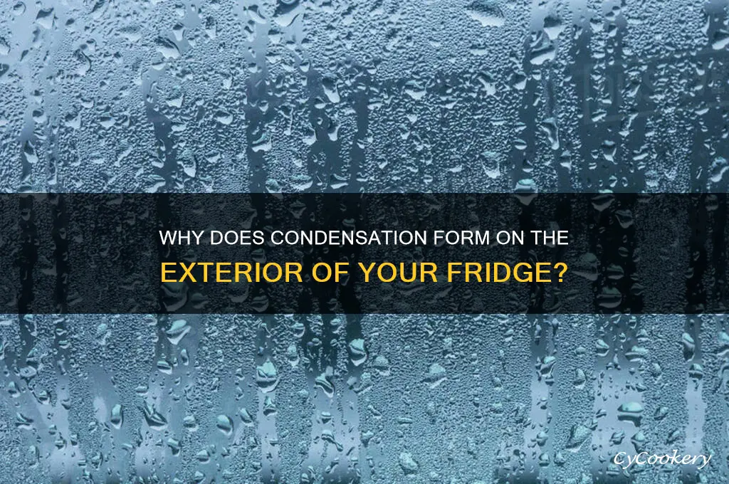 what causes condensation on outside of refrigerator