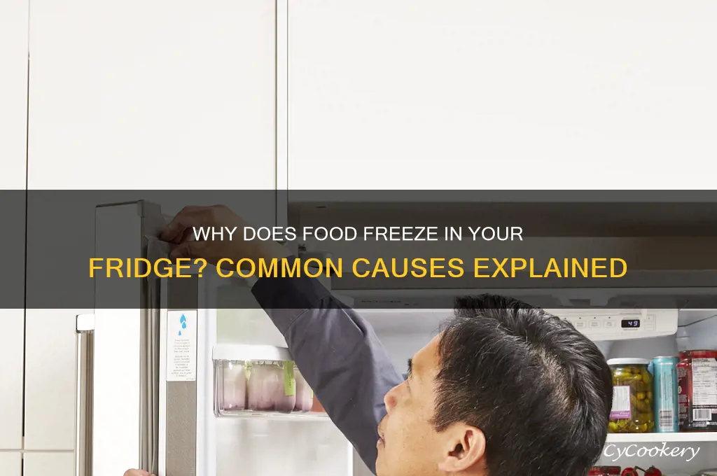 what causes food in refrigerator to freeze