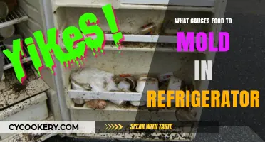 Why Food Molds in Your Fridge: Causes and Prevention Tips