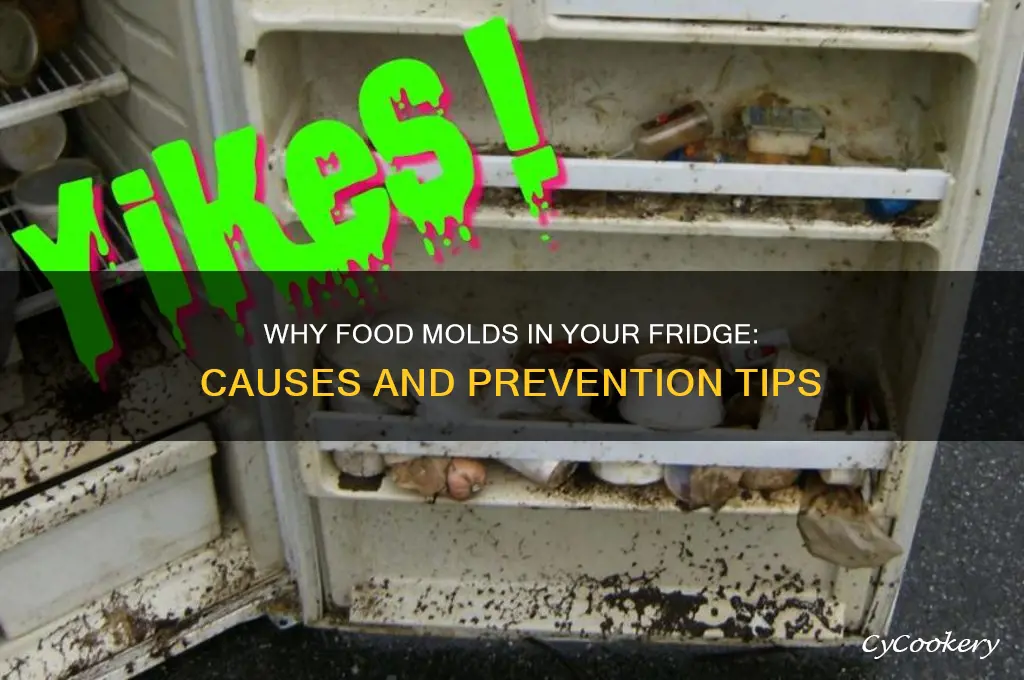what causes food to mold in refrigerator