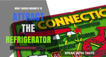 Why Magnets Stick: The Science Behind Refrigerator Attraction Explained