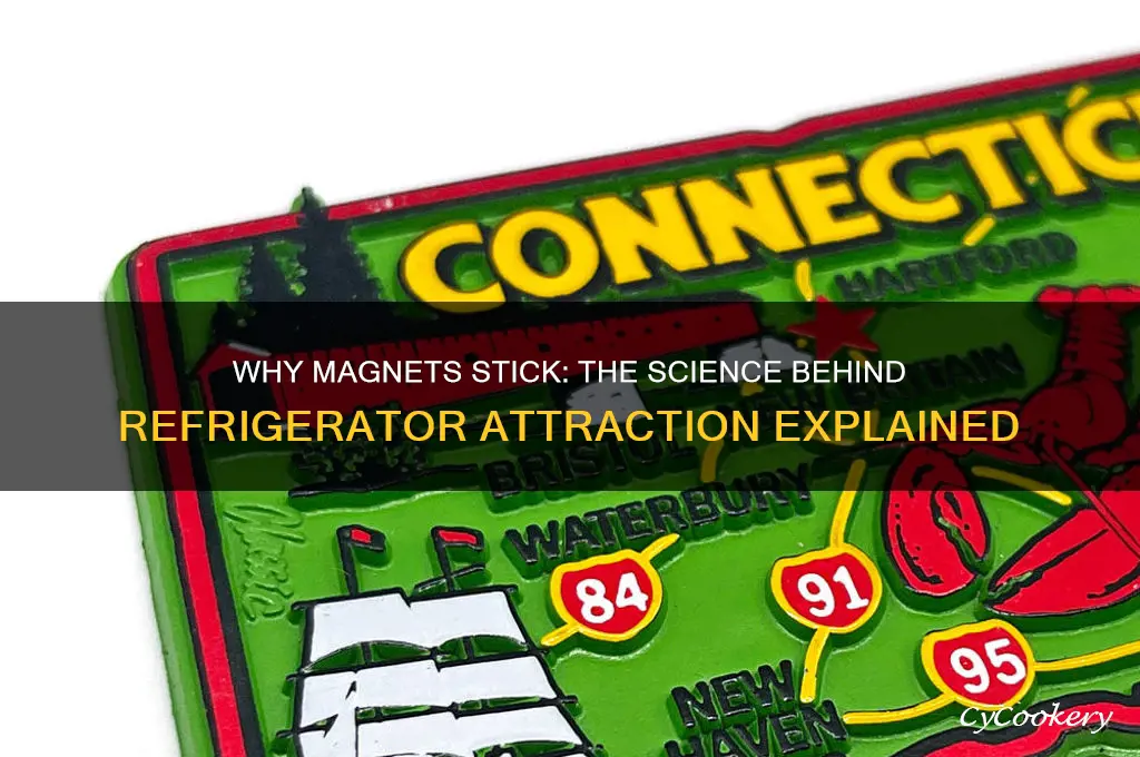 what causes magnets to attract the refrigerator