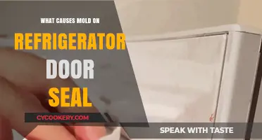Why Mold Grows on Your Refrigerator Door Seal: Causes and Solutions