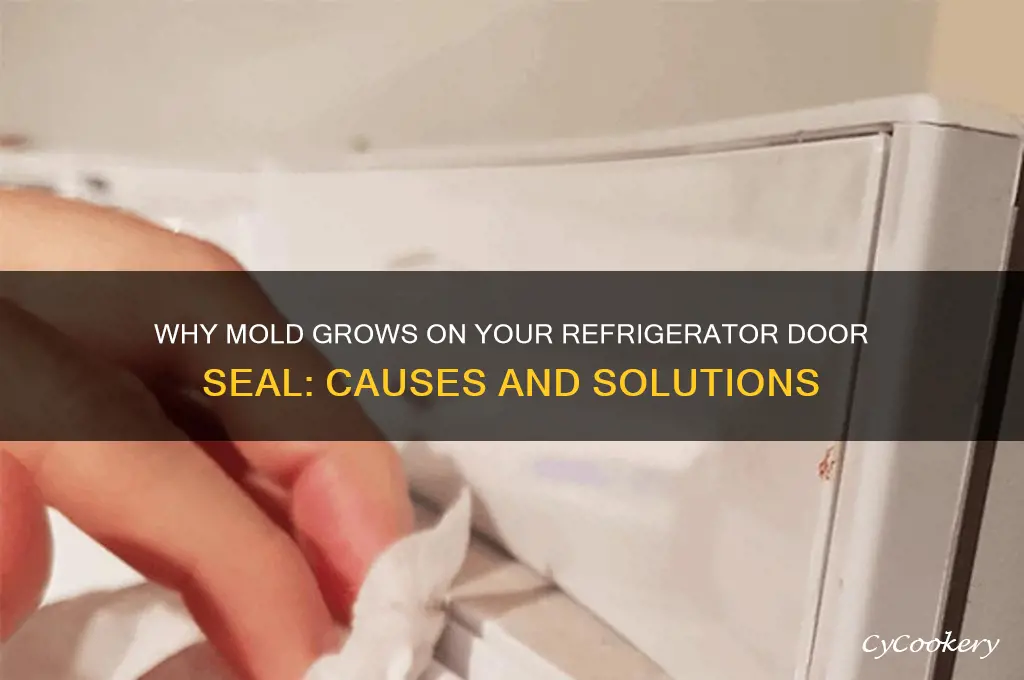 what causes mold on refrigerator door seal
