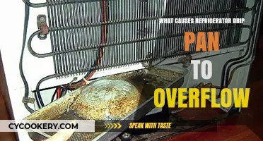 Why Your Refrigerator Drip Pan Overflows: Common Causes and Fixes
